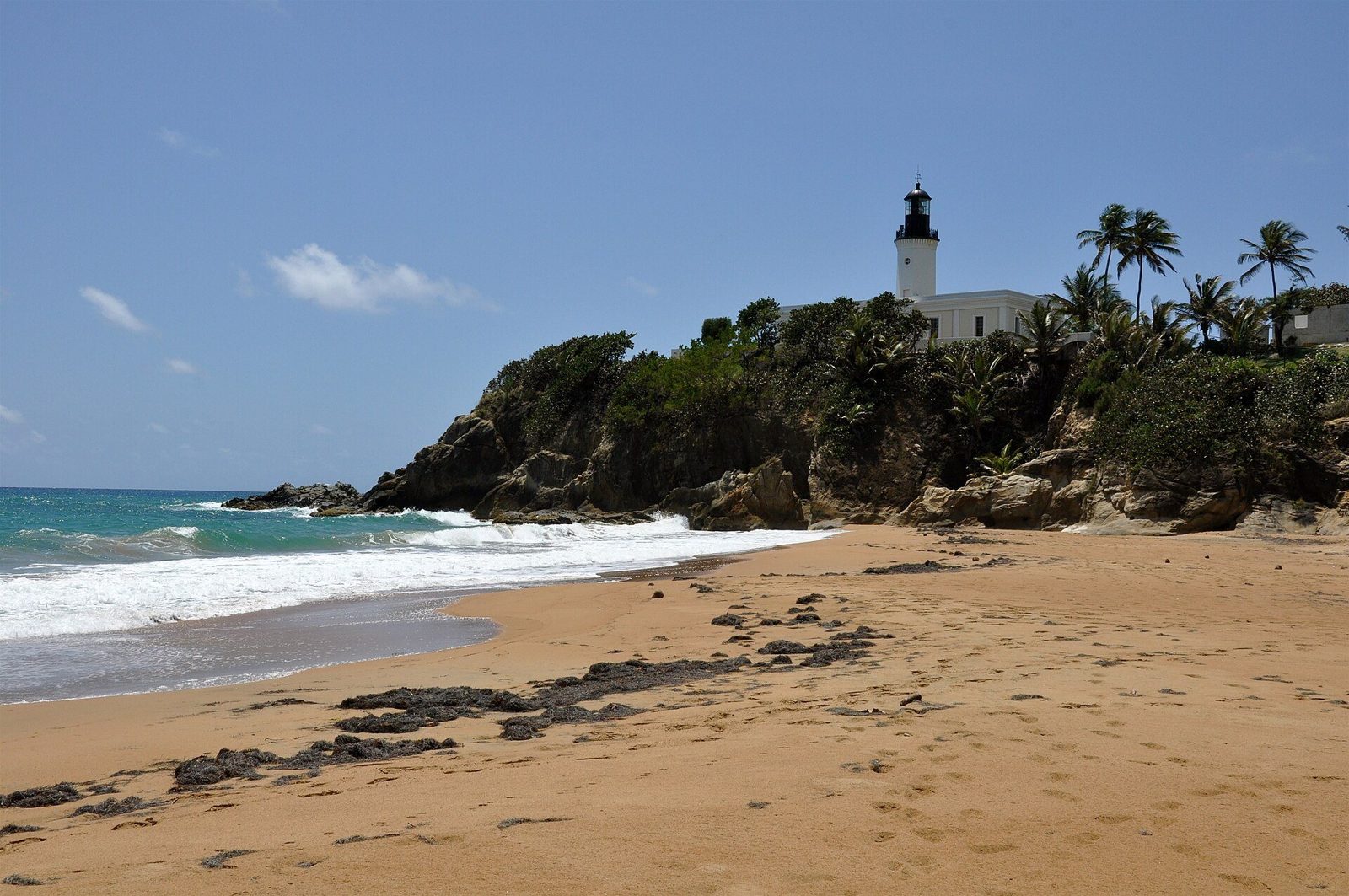 Ceiba